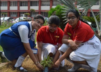 Eco Club Organizes Plantation Drive in School