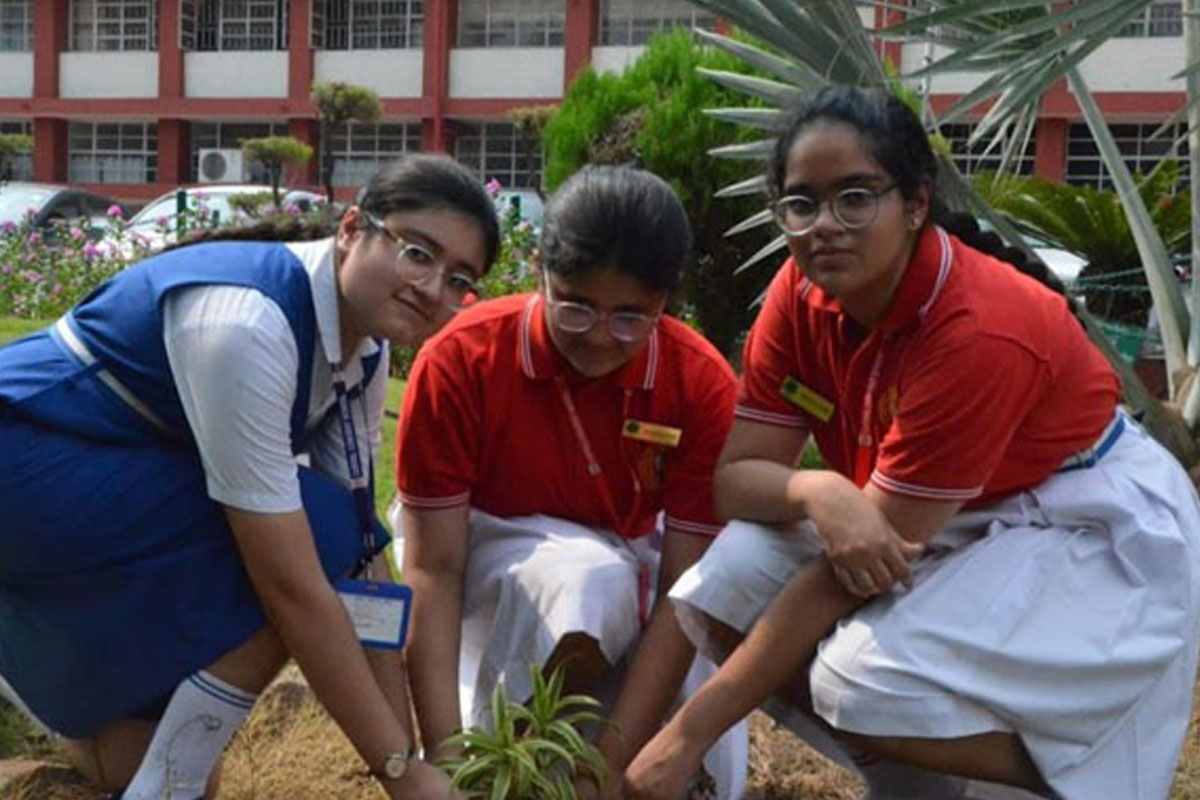 Eco Club Organizes Plantation Drive in School July 2023