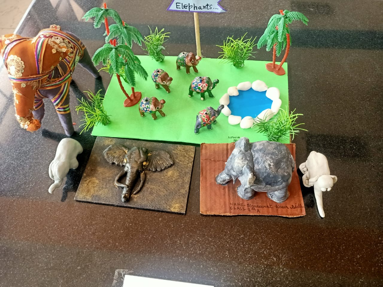 Eco Club Celebrates World Elephant Day